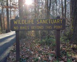 Sign reading "Wildlife Sanctuary" "no bike beyond this point" near entrance to Huntley Meadows