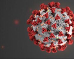 Coronavirus under microscope, red and white colored