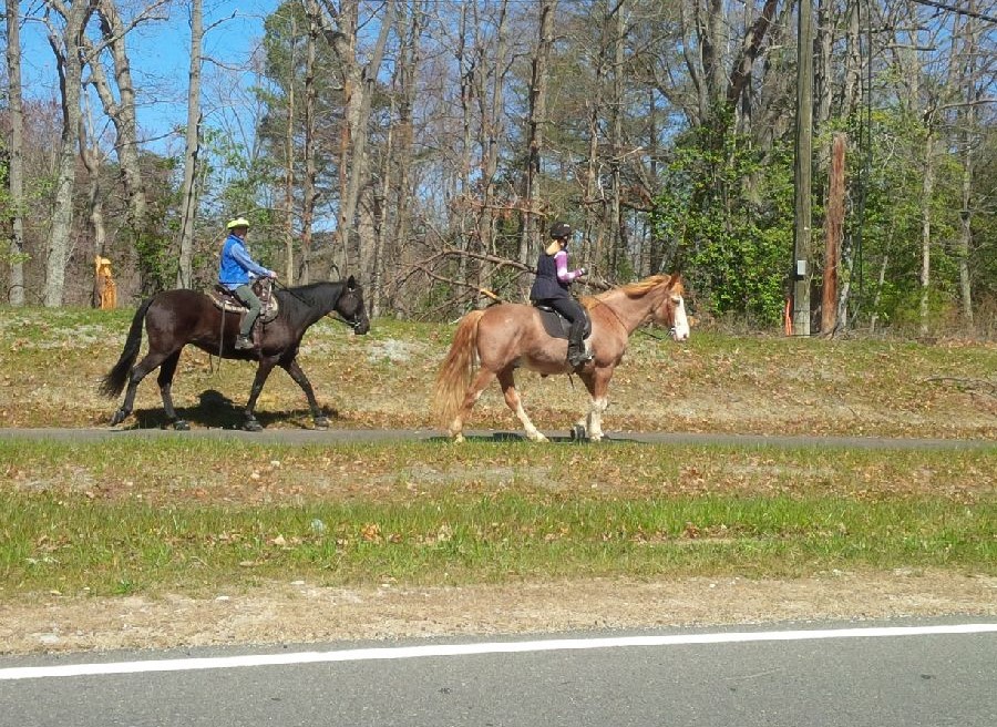 Horse riders