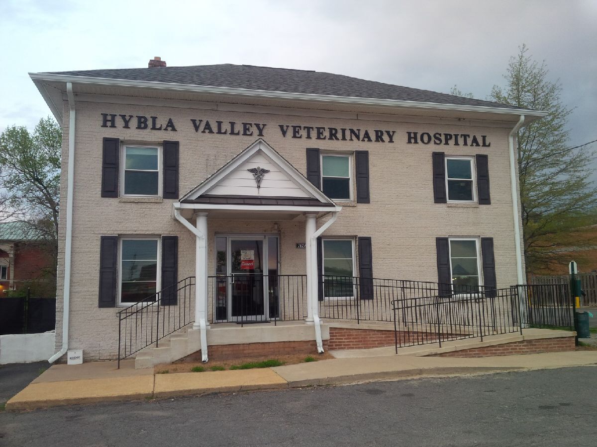 Hybla Valley Veterinary Hospital