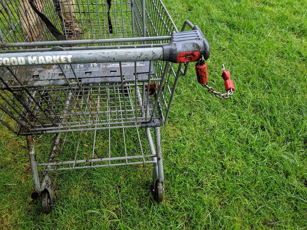 Shopping cart 