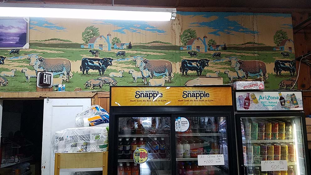 kangs-wall-art
