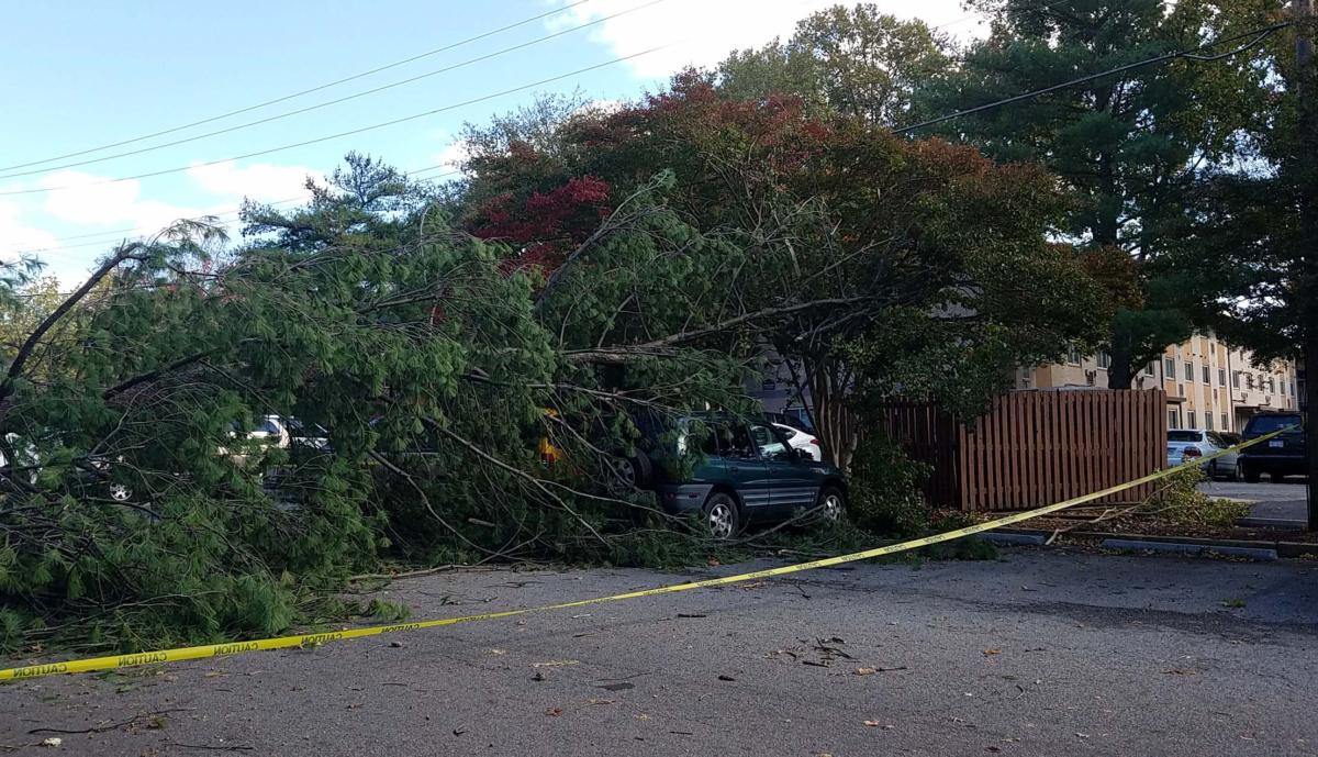 Tree laying across width of parking lot, on top of two SUVs on the other side